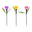 Szolárlámpa tulipán Szolárlámpa tulipán