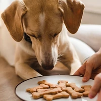 Csont süteménykiszúró