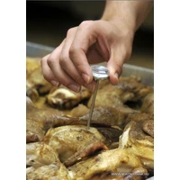 Maghőmérő + tartó