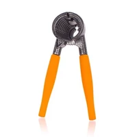 Kúpos dió mogyorótörő