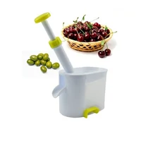 Cseresznye és Meggymagozó vákumos leszorítóval