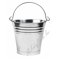 Horganyzott vödör 10Liter